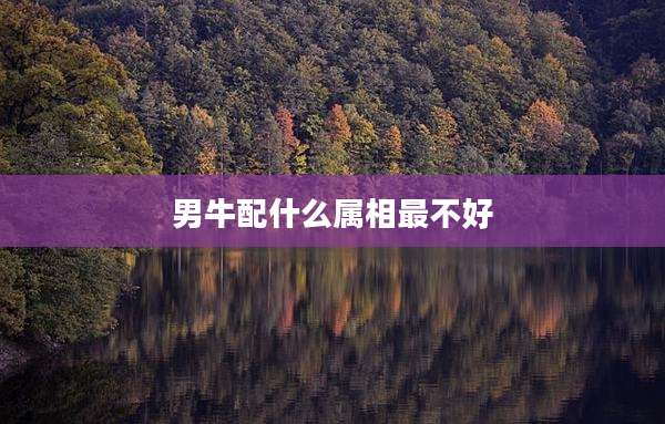 男牛配什么属相最不好