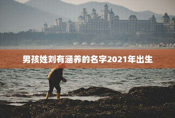 男孩姓刘有涵养的名字2021年出生