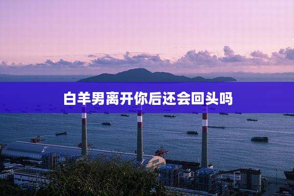 白羊男离开你后还会回头吗