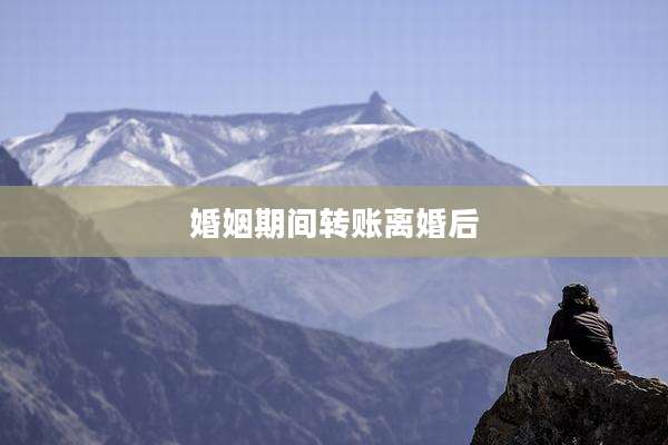 婚姻期间转账离婚后