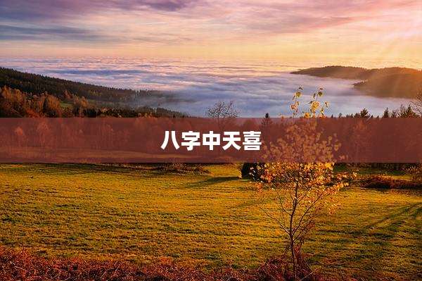 八字中天喜