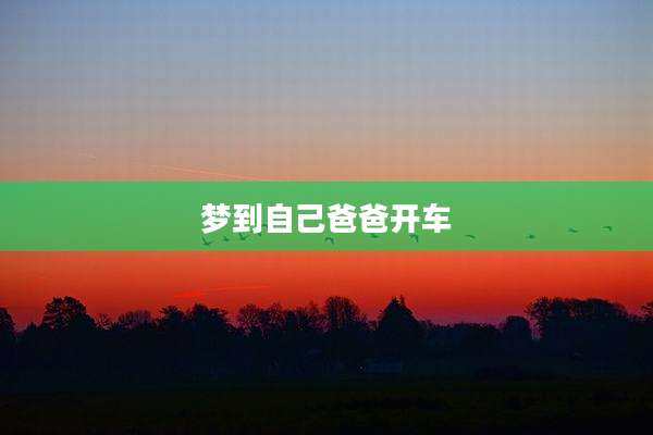梦到自己爸爸开车