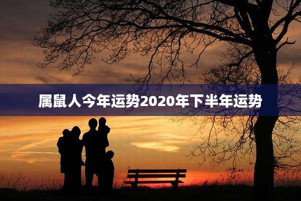 属鼠人今年运势2020年下半年运势