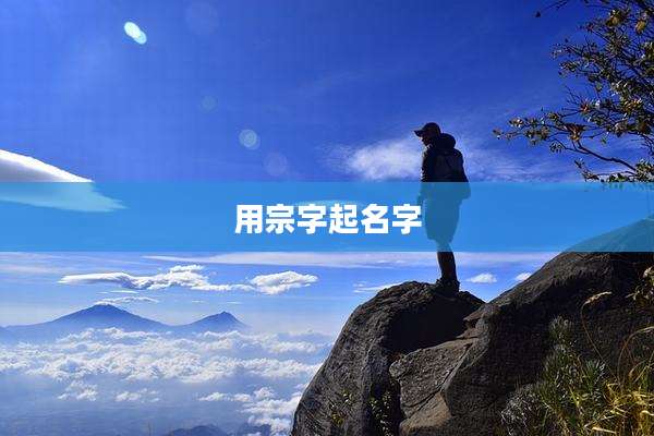 用宗字起名字