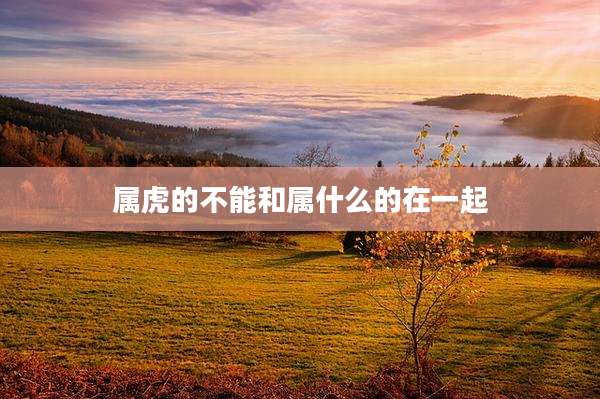 属虎的不能和属什么的在一起