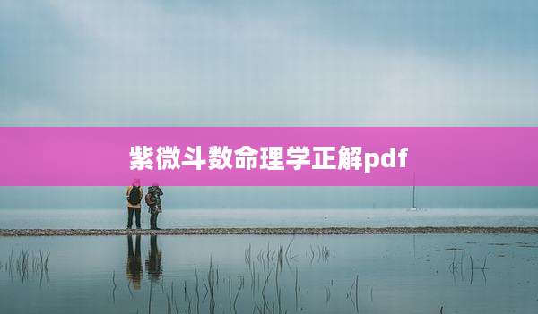 紫微斗数命理学正解pdf