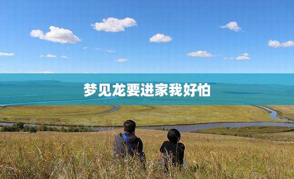 梦见龙要进家我好怕