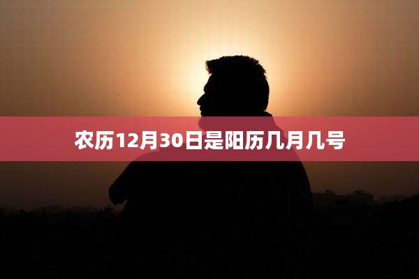 农历12月30日是阳历几月几号