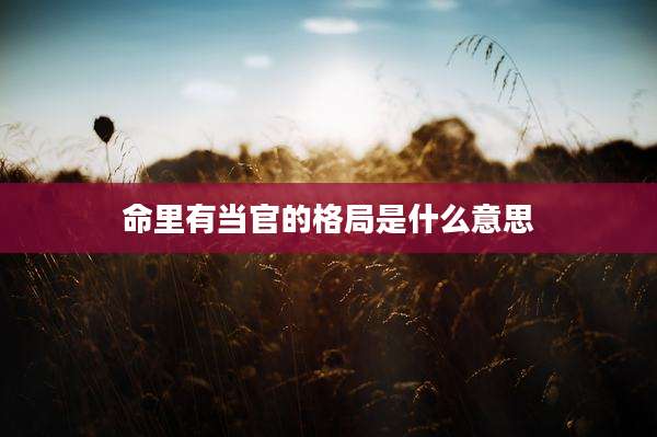 命里有当官的格局是什么意思