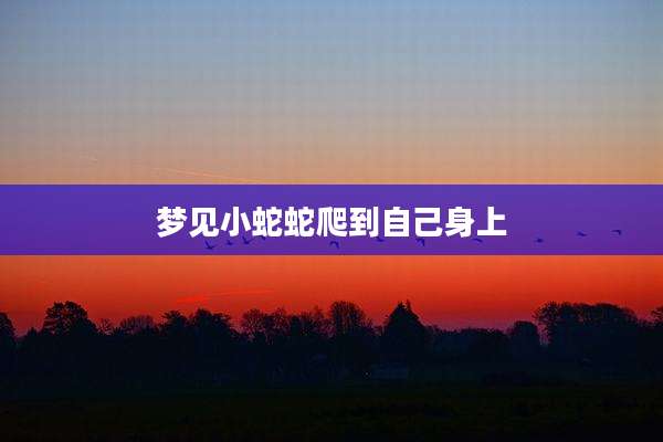 梦见小蛇蛇爬到自己身上