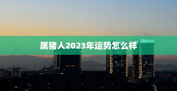 属猪人2023年运势怎么样
