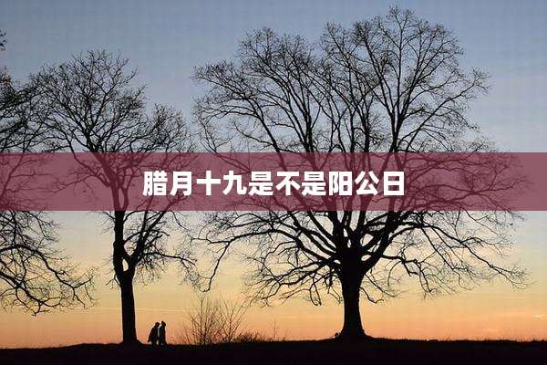 腊月十九是不是阳公日