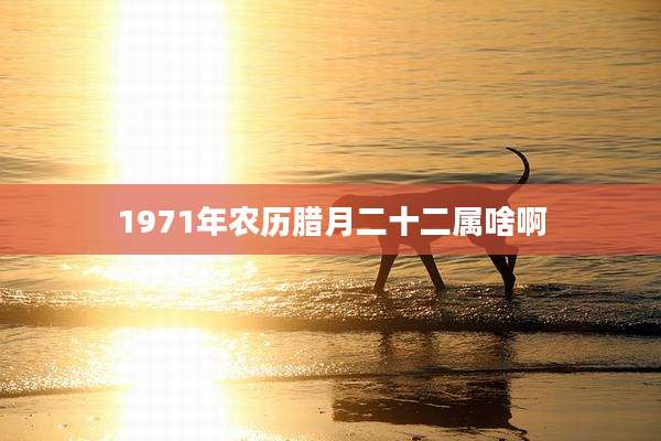 1971年农历腊月二十二属啥啊