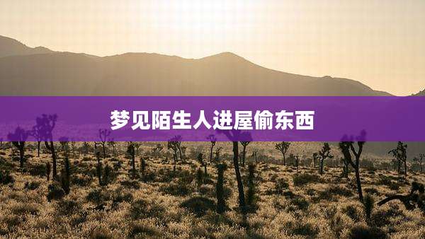梦见陌生人进屋偷东西