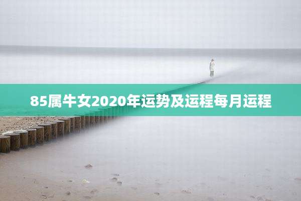 85属牛女2020年运势及运程每月运程