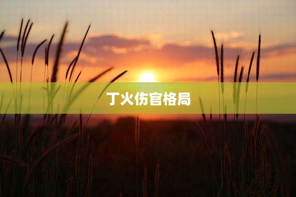 丁火伤官格局