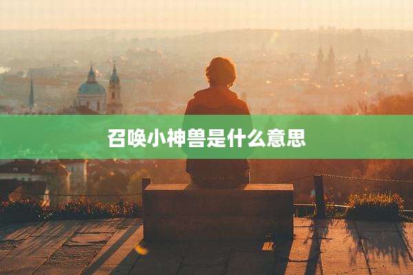 召唤小神兽是什么意思