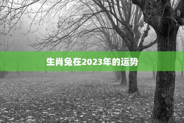 生肖兔在2023年的运势