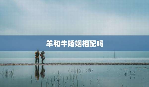 羊和牛婚姻相配吗