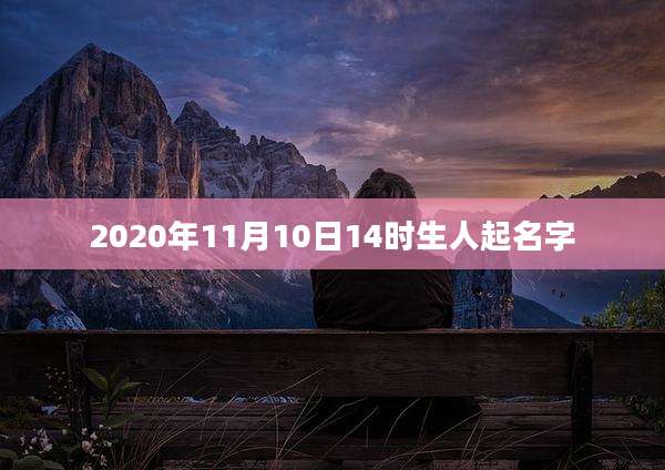 2020年11月10日14时生人起名字