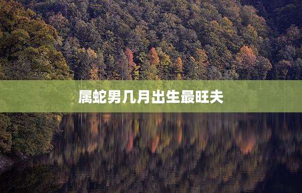属蛇男几月出生最旺夫