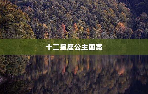 十二星座公主图案