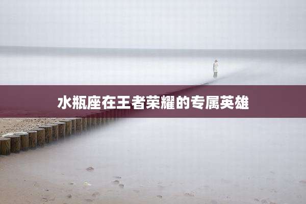 水瓶座在王者荣耀的专属英雄