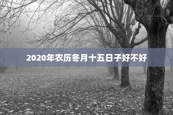 2020年农历冬月十五日子好不好