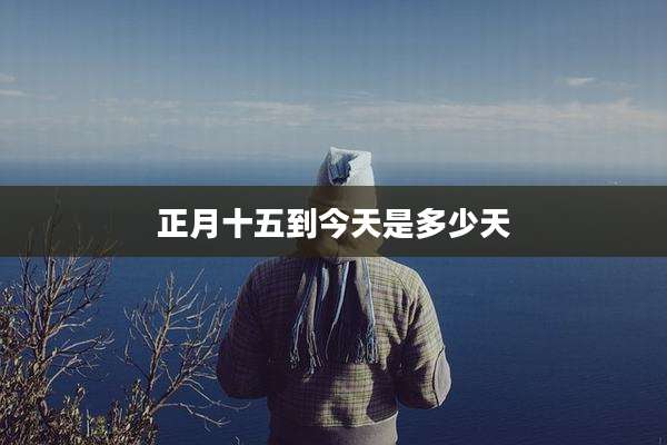 正月十五到今天是多少天