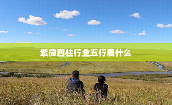 紫微四柱行业五行属什么