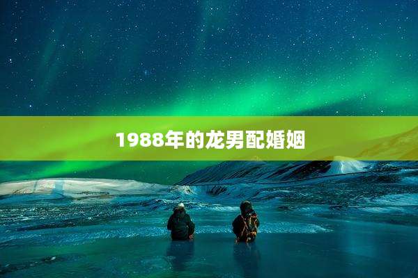 1988年的龙男配婚姻