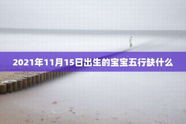 2021年11月15日出生的宝宝五行缺什么