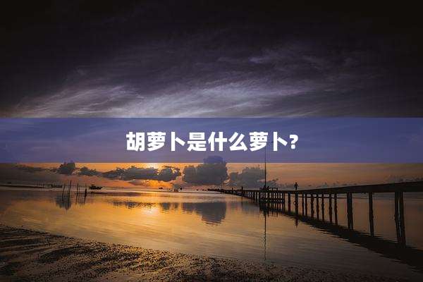 胡萝卜是什么萝卜?
