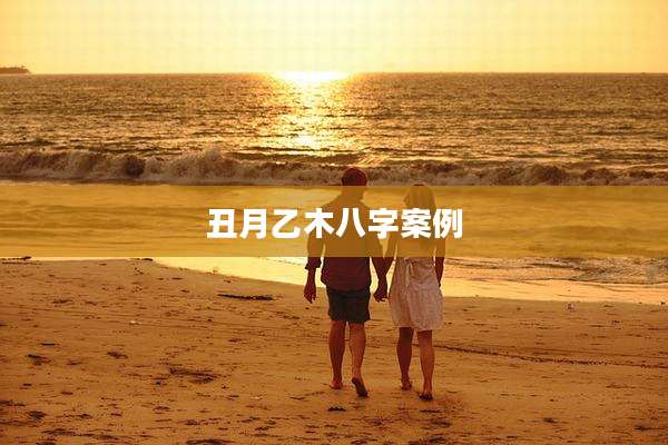 丑月乙木八字案例