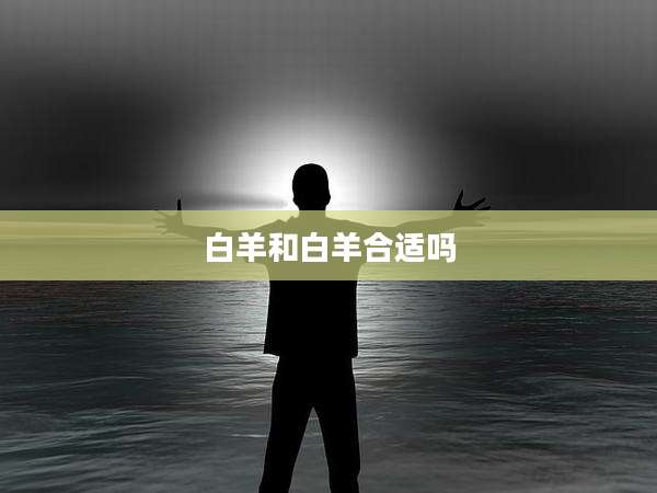 白羊和白羊合适吗