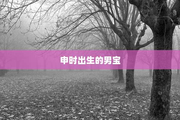 申时出生的男宝