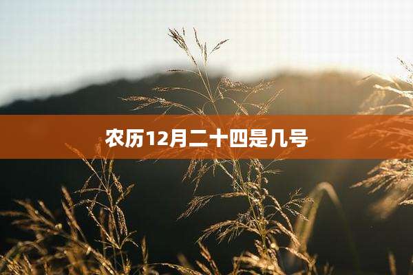 农历12月二十四是几号