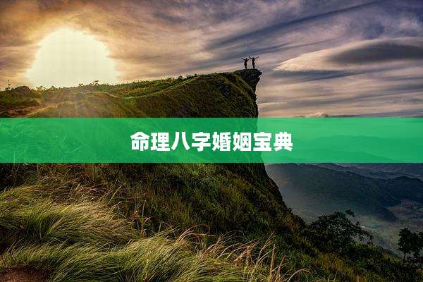 命理八字婚姻宝典
