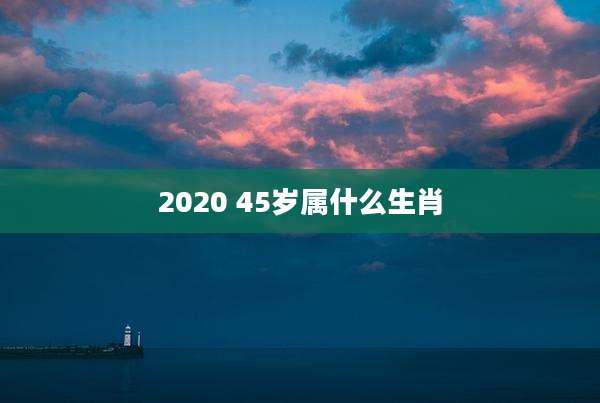 2020 45岁属什么生肖