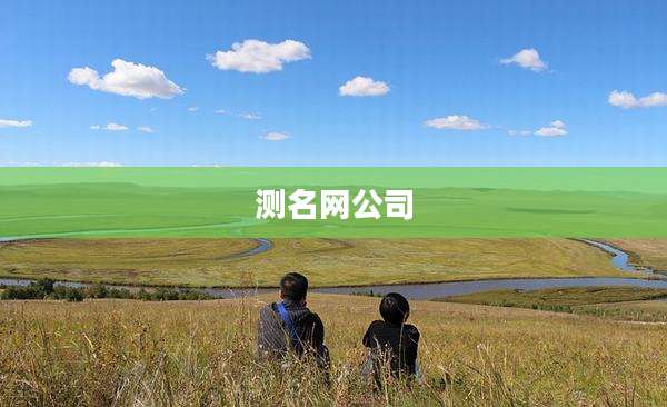 测名网公司
