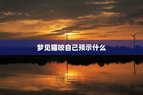 梦见猫咬自己预示什么