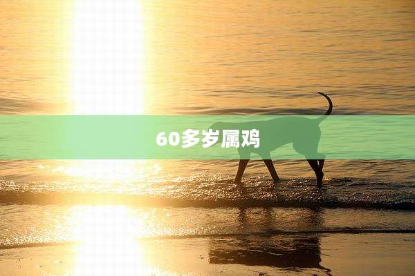 60多岁属鸡