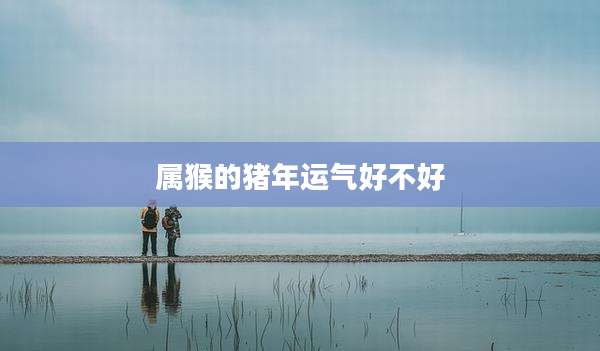 属猴的猪年运气好不好