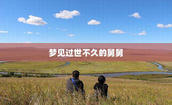 梦见过世不久的舅舅