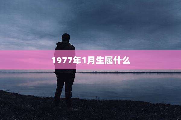1977年1月生属什么