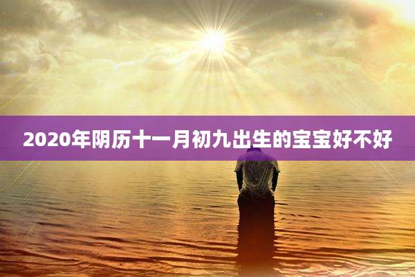 2020年阴历十一月初九出生的宝宝好不好