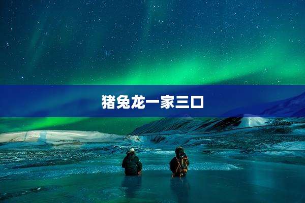 猪兔龙一家三口