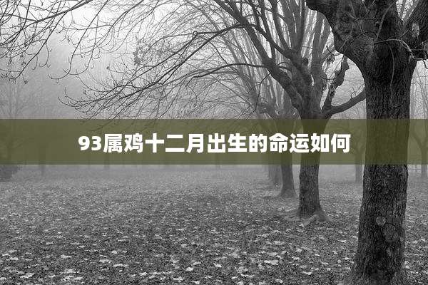 93属鸡十二月出生的命运如何