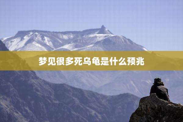 梦见很多死乌龟是什么预兆