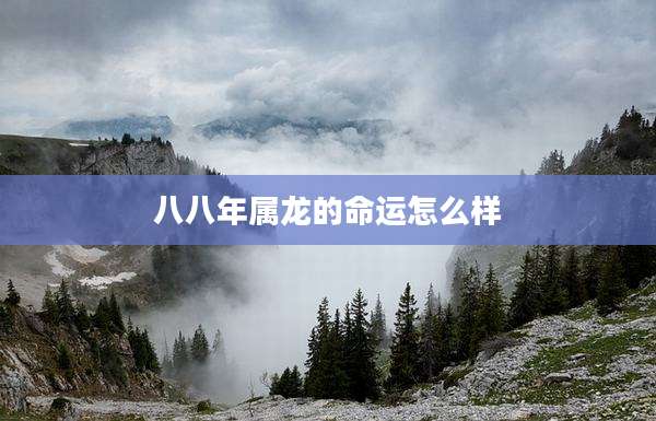 八八年属龙的命运怎么样